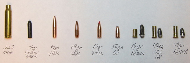 .22 diameter bullets