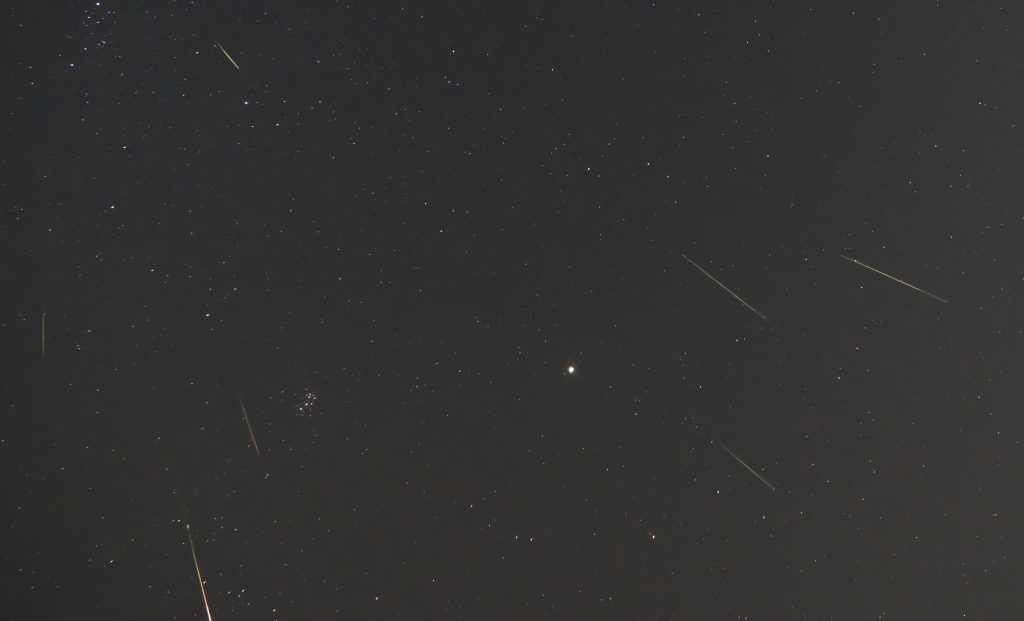 Perseid Meteors, composite image by David Bookstaber