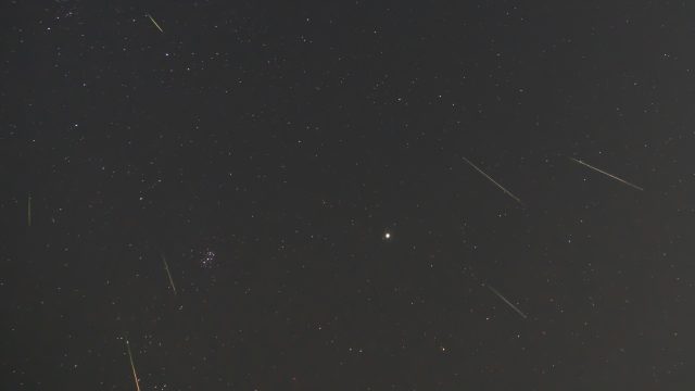 Perseid Meteors by David Bookstaber